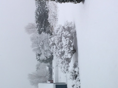 The Speed Snowman Building Team