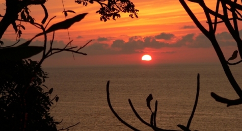 Xavier Green Lights Costa Rica Science Trip