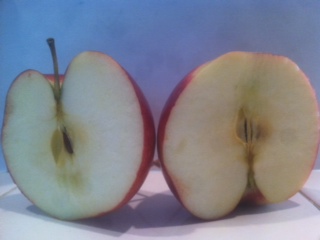 The Opposite of an Apple