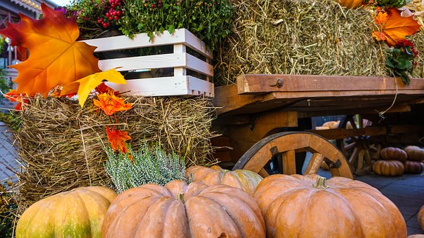 Why Do People Believe Halloween Is So Scary?