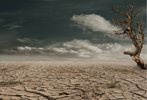 Changing an Anti-Science Culture