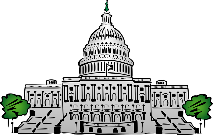 Congressional Term Limits: The Logical Choice