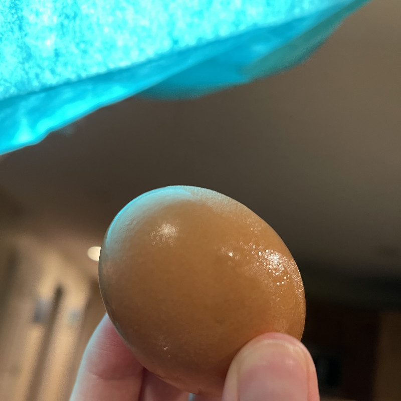 An+egg