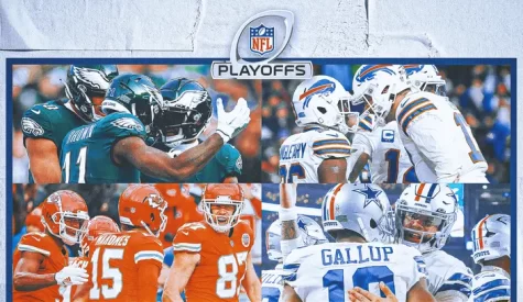 NFL Division Playoff Preview